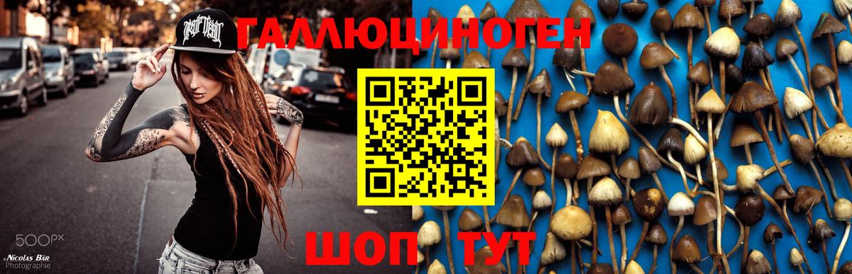 где можно купить наркотик  Вход с VPN  Галлюциногенные грибы Psilocybine cubensis  Екатеринбург  Галлюциногенные грибы мухоморы 