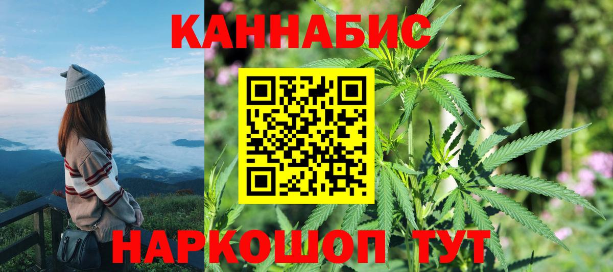 Бошки марихуана Amnesia Екатеринбург